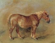 A Suffolk Punch James Ward